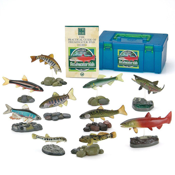 Freshwater Fish 10pcs Real Figure Box Colorata Japan – VeryGoods.JP