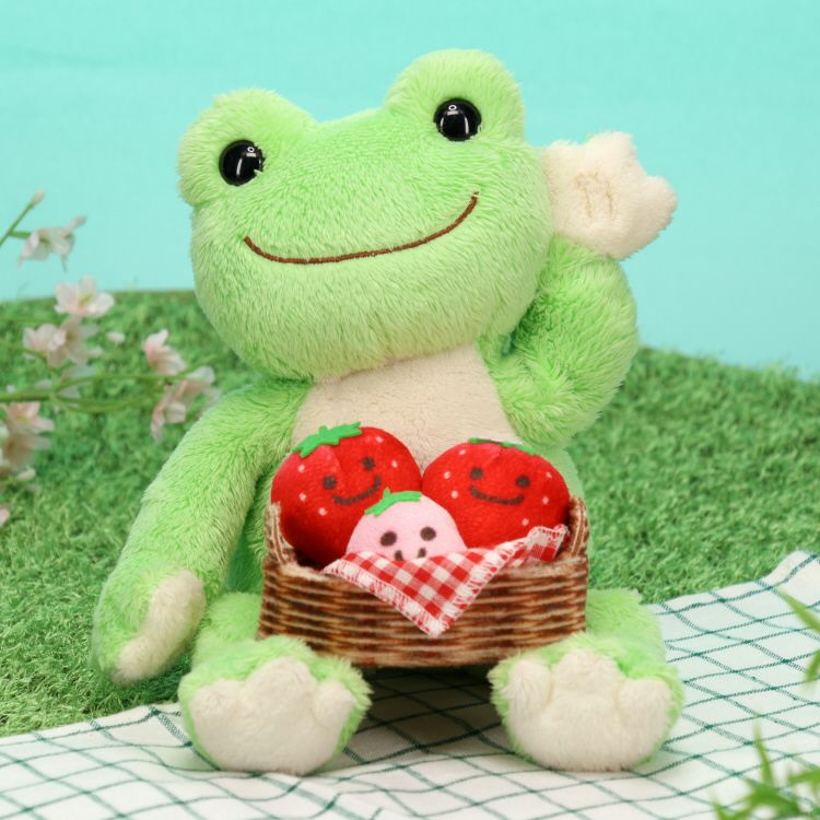 Pickles the Frog Costume for Bean Doll Plush Strawberry Picking Set Japan 2024