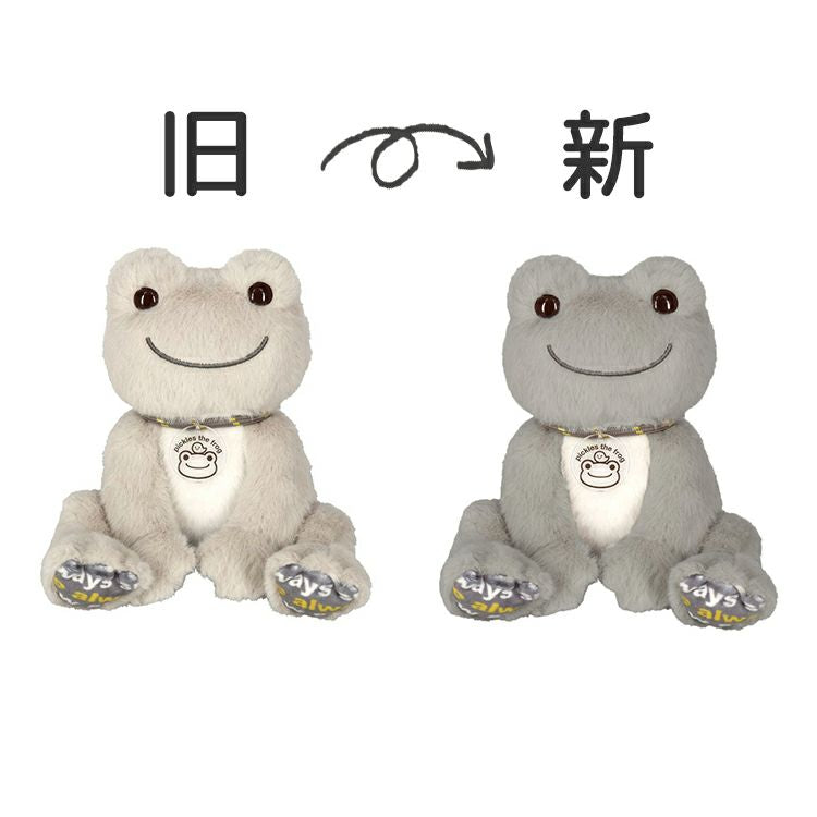 Pickles the Frog Bean Doll Plush Wording always smile Japan 2024