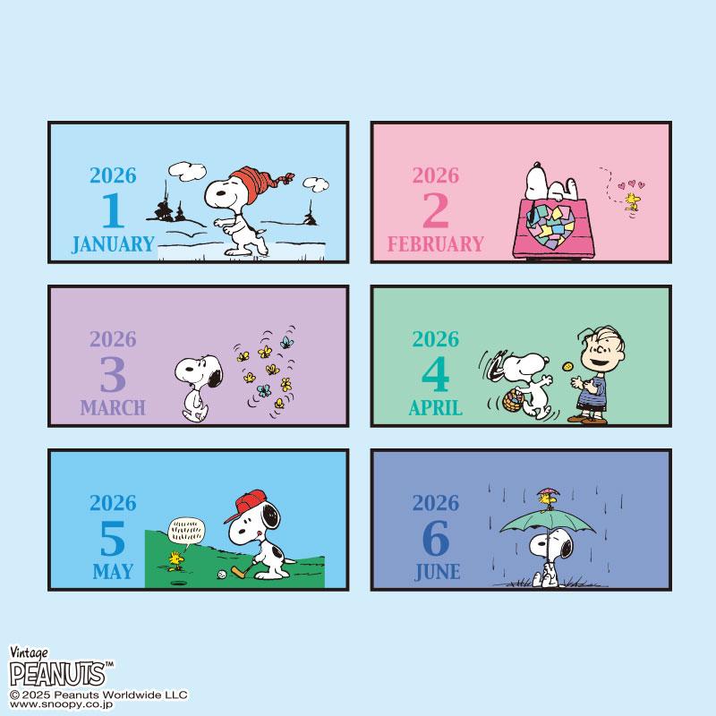 PEANUTS Snoopy Ring Calendar Desktop 2026 mini Sanrio Japan