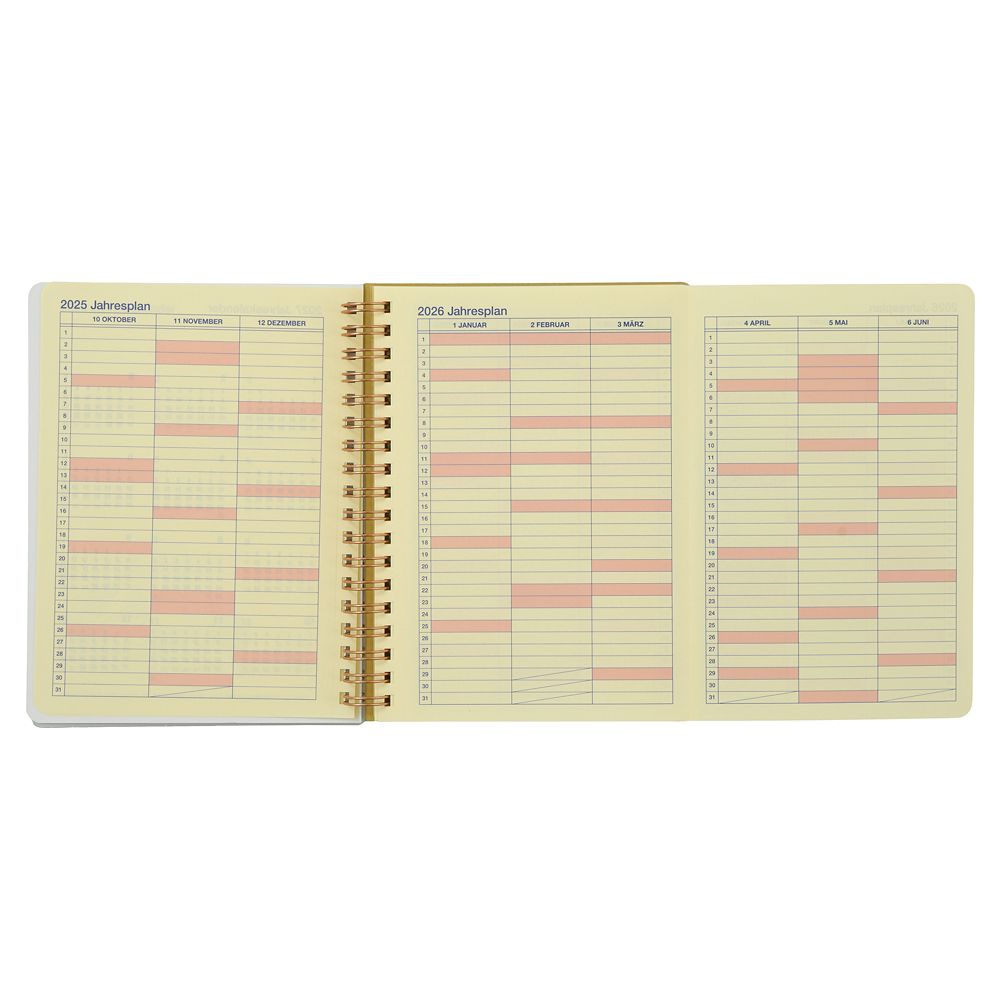 Tangled Rapunzel 2026 Schedule Book B6 Rollbahn Diary L Disney Store Japan