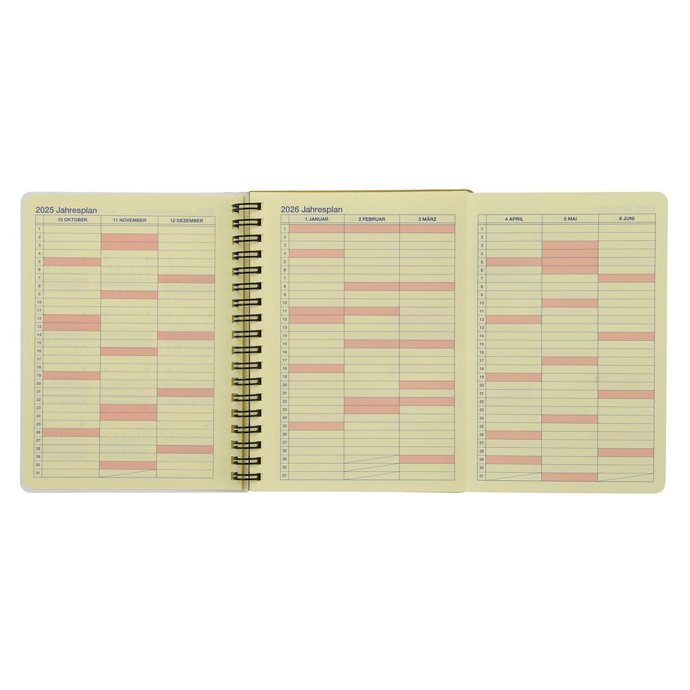 Donald & Friends 2026 Schedule Book B6 Rollbahn Diary L Disney Store Japan