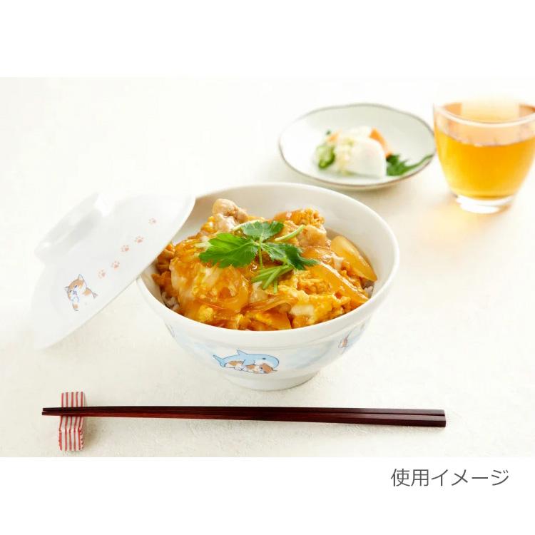 mofusand Cat Bowl with Lid Shark Japan