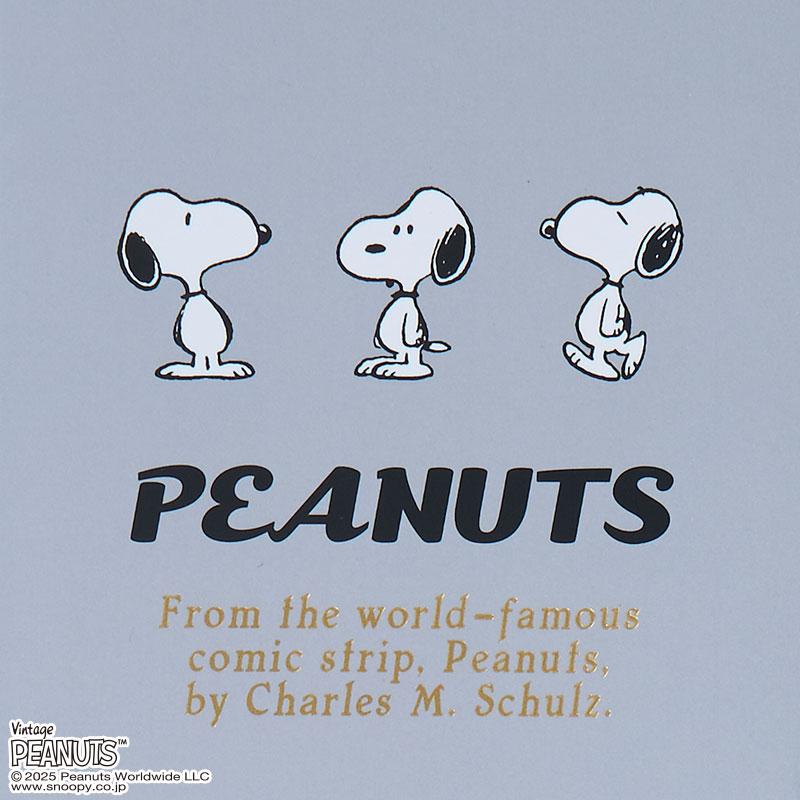 PEANUTS Snoopy 2026 Schedule Book B6 Weekly Block Sanrio Japan
