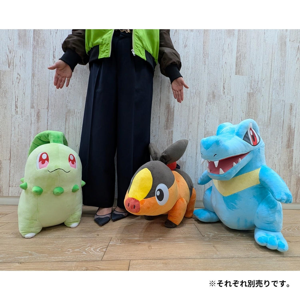 Tepig Pokabu Plush Doll Life-size Pokemon Center Japan 2025