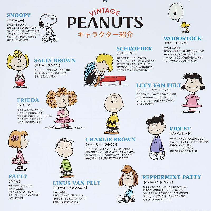 PEANUTS Snoopy Wall Calendar 2025 L Sanrio Japan