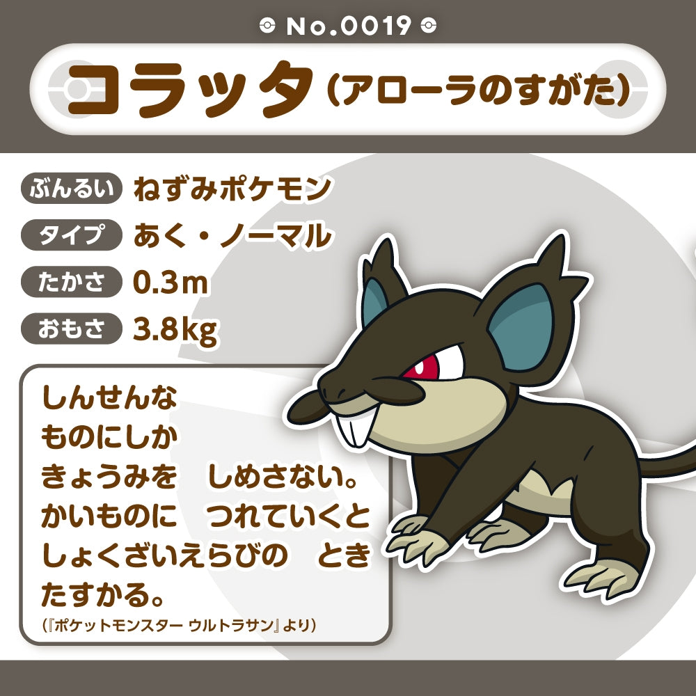Alolan Rattata Koratta Plush Doll Sun & Moon Pokemon fit Center Japan #19