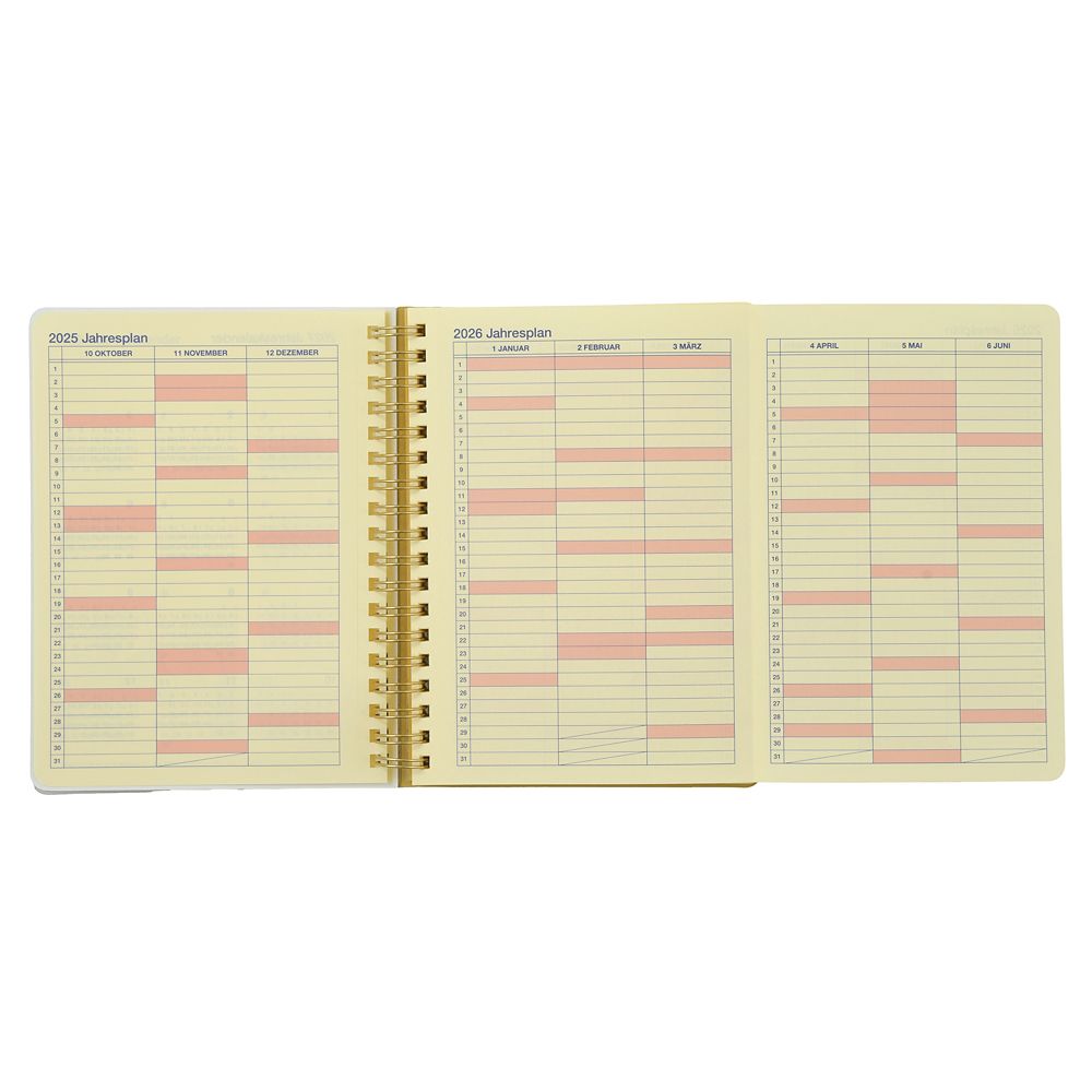 Winnie the Pooh Eeyore 2026 Schedule Book B6 Rollbahn Diary L Disney Store Japan