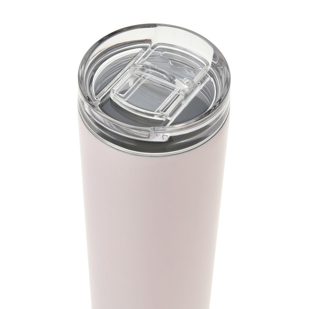 Sleeping Beauty Aurora Stainless Straw Tumbler Disney Store Japan 2025