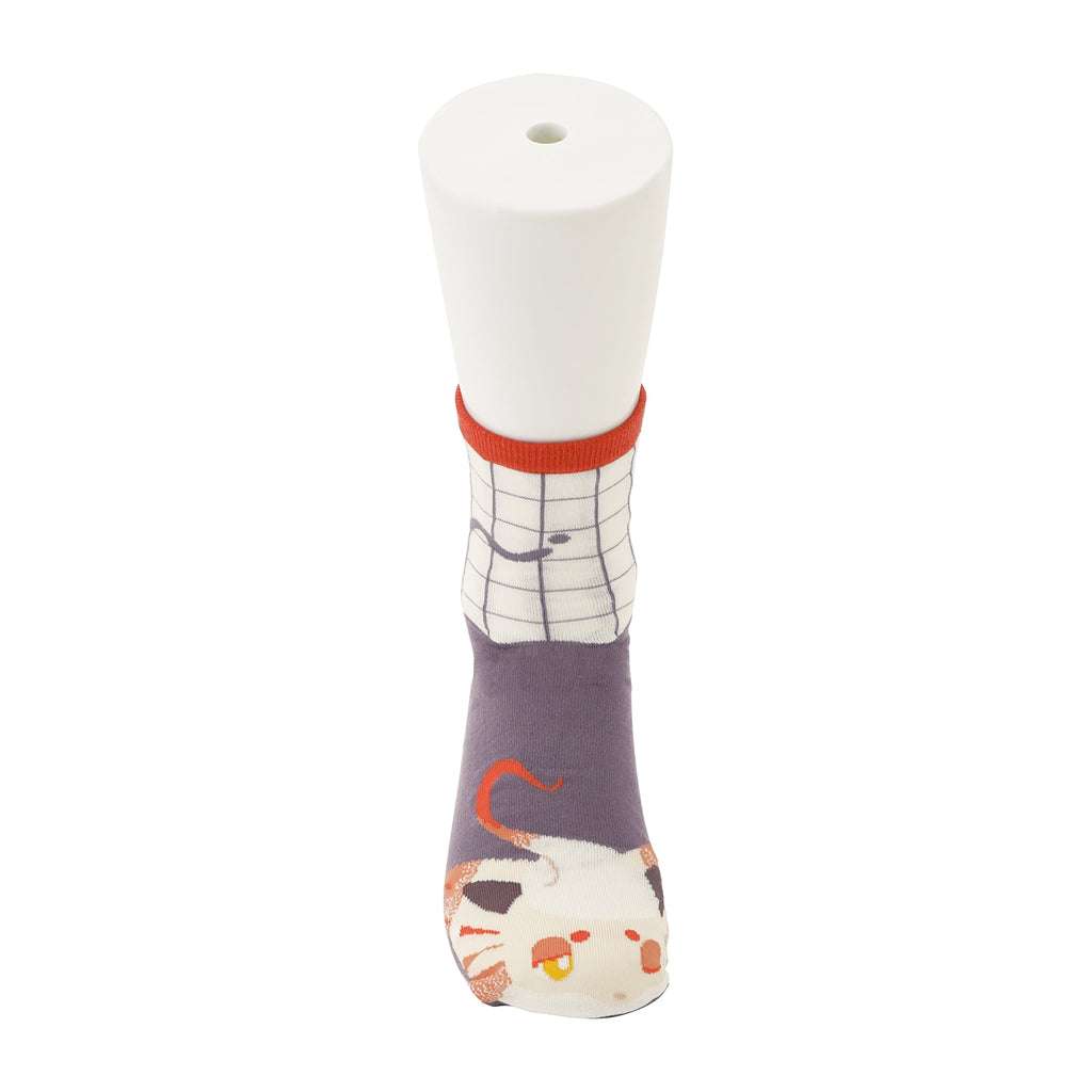 Hisuian Zorua & Zorua Zoroa Kids Socks 19-21cm Pokemon Center Japan 2025