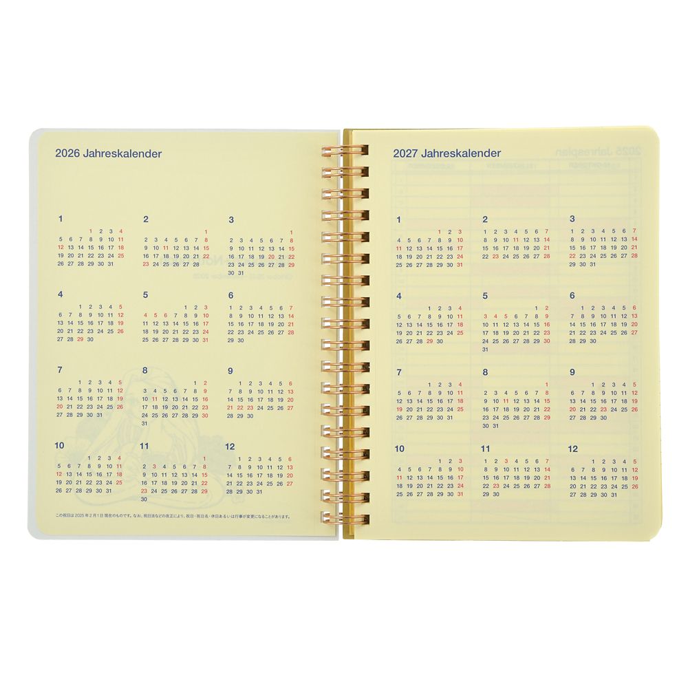 Tangled Rapunzel 2026 Schedule Book B6 Rollbahn Diary L Disney Store Japan