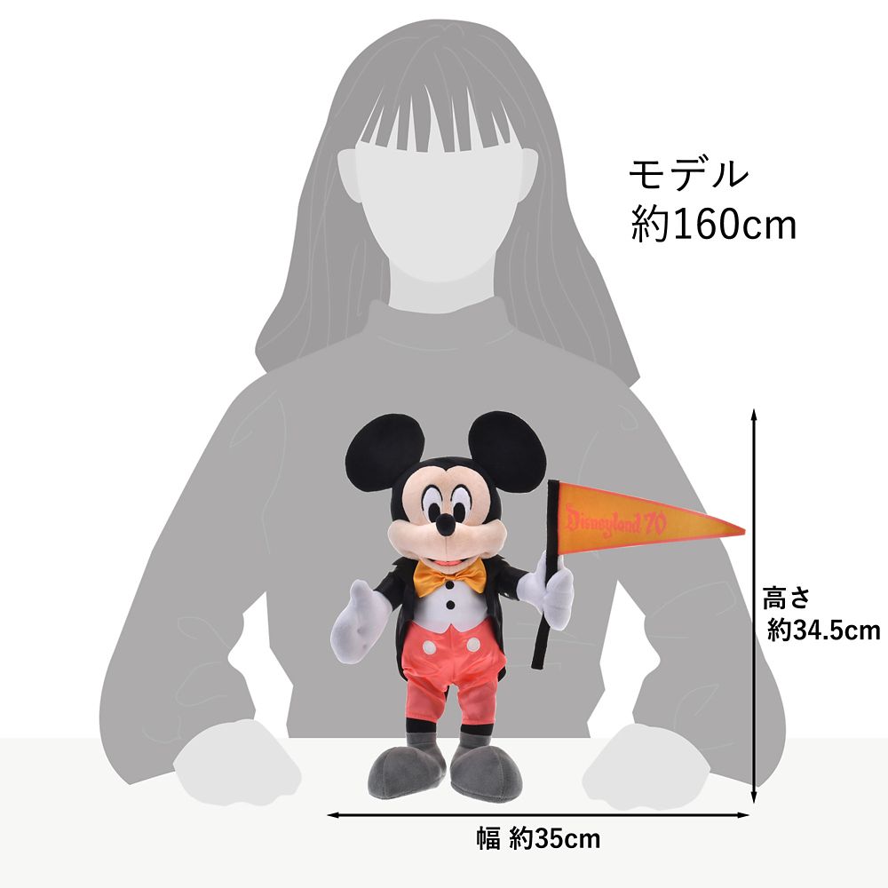 Mickey Flag Plush Doll DISNEYLAND RESORT 70TH CELEBRATION Disney Store Japan