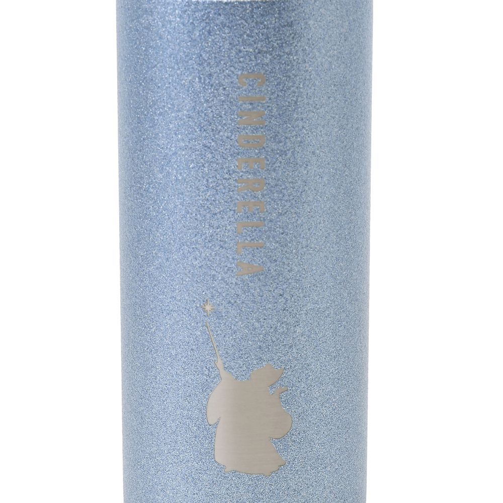 Cinderella & Fairies Stainless Bottle 380ml Blue Disney Store Japan 2025