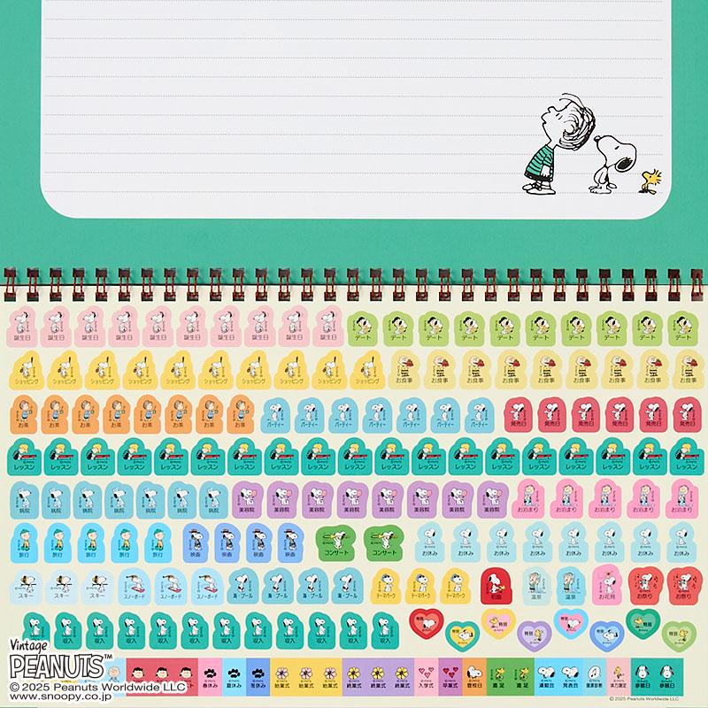 PEANUTS Snoopy Wall Calendar 2026 L Sanrio Japan