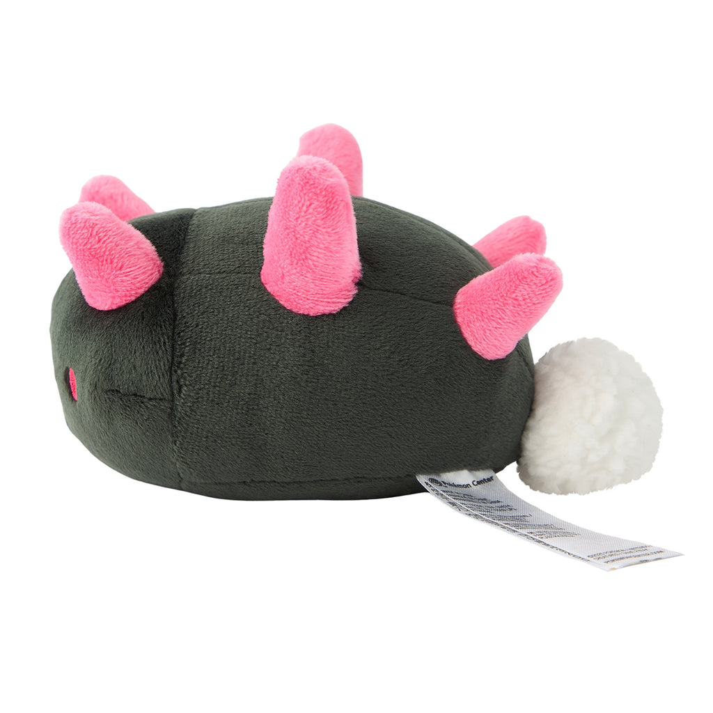 Pyukumuku Namakobushi Plush Doll Sun & Moon Pokemon fit Center Japan #771