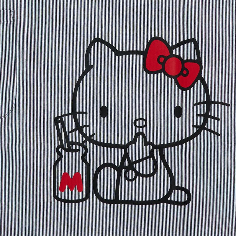 Hello Kitty Apron H type Sanrio Japan 2025