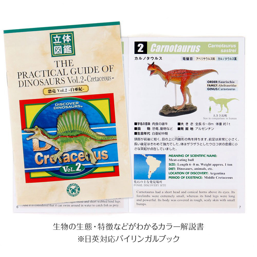 ColorataReal Figure Box The Practical Guide of Dinosaurs Vol. 2 Cretaceous Japan