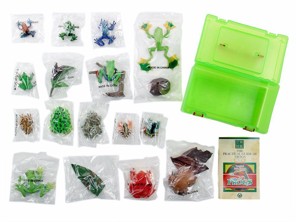 Colorata 3D Picture Book Real Figure Box The Practical Guide of Frogs Japan
