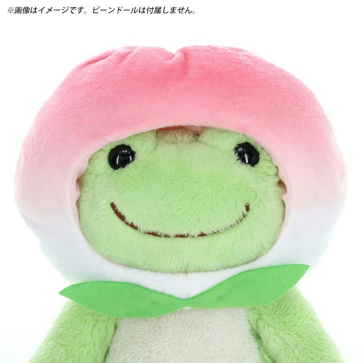 Pickles the Frog Costume for Bean Doll Plush Hotel Peach Bun Japan