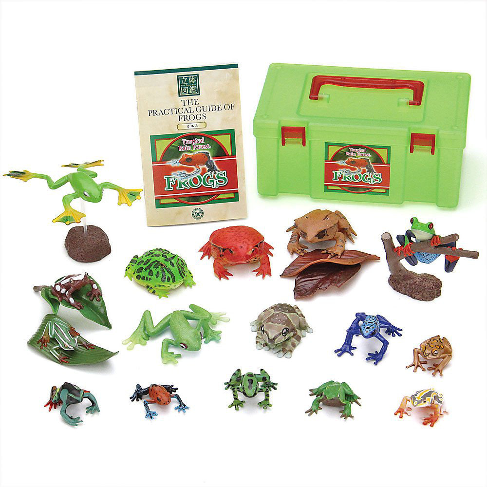 Colorata 3D Picture Book Real Figure Box The Practical Guide of Frogs Japan