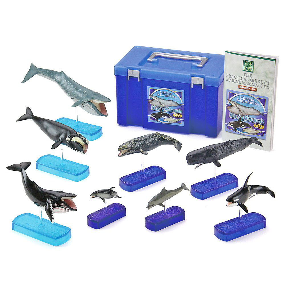 Marine Mammals DX Whale Dolphin 8pcs Real Figure Box Colorata Japan