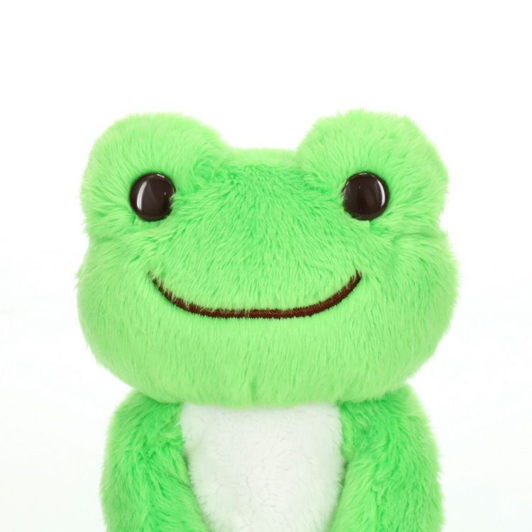 Pickles the Frog Pocket Plush Doll Wakaba Green Japan