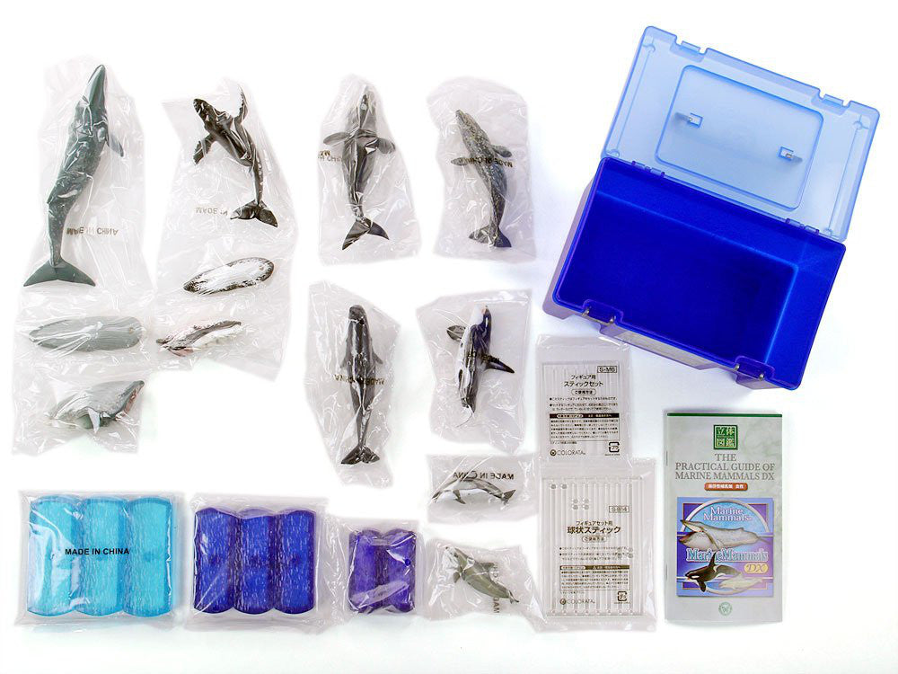 Marine Mammals DX Whale Dolphin 8pcs Real Figure Box Colorata Japan