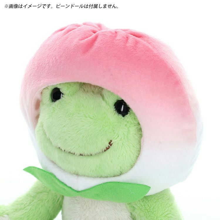 Pickles the Frog Costume for Bean Doll Plush Hotel Peach Bun Japan