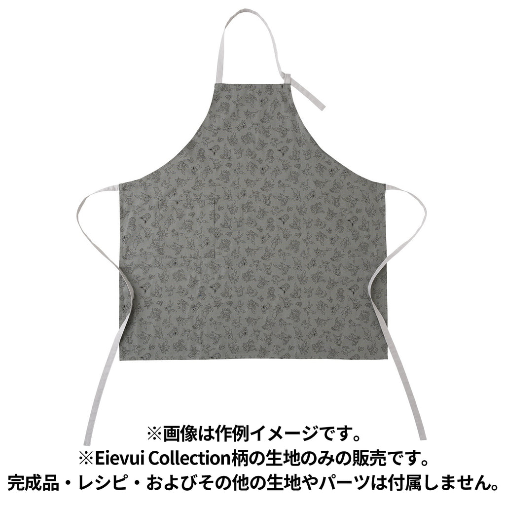 Cut Cloth Eievui Collection Pokemon Center Japan
