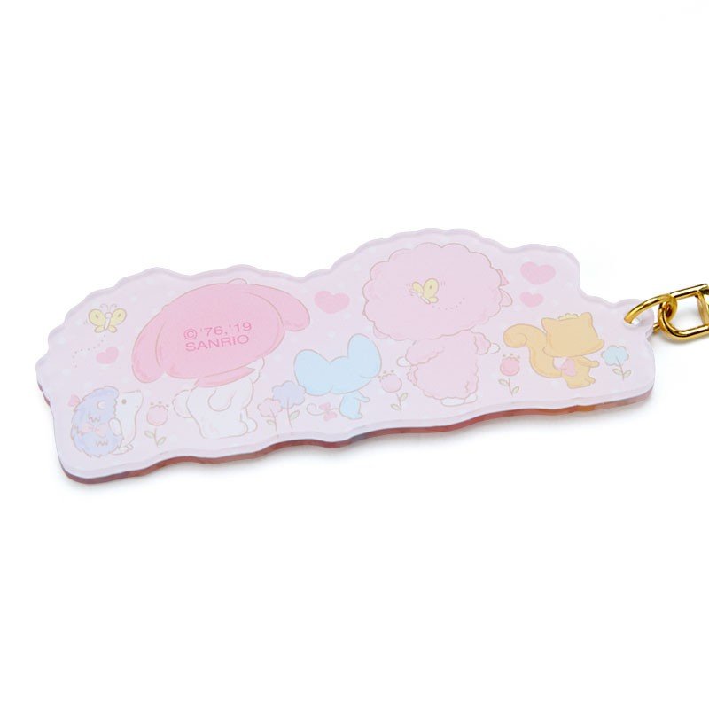 My Melody Acrylic Keychain Key Holder Star Sanrio Japan
