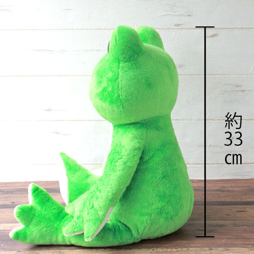 Pickles the Frog Plush Doll M Wakaba Green Rainbow Color Japan