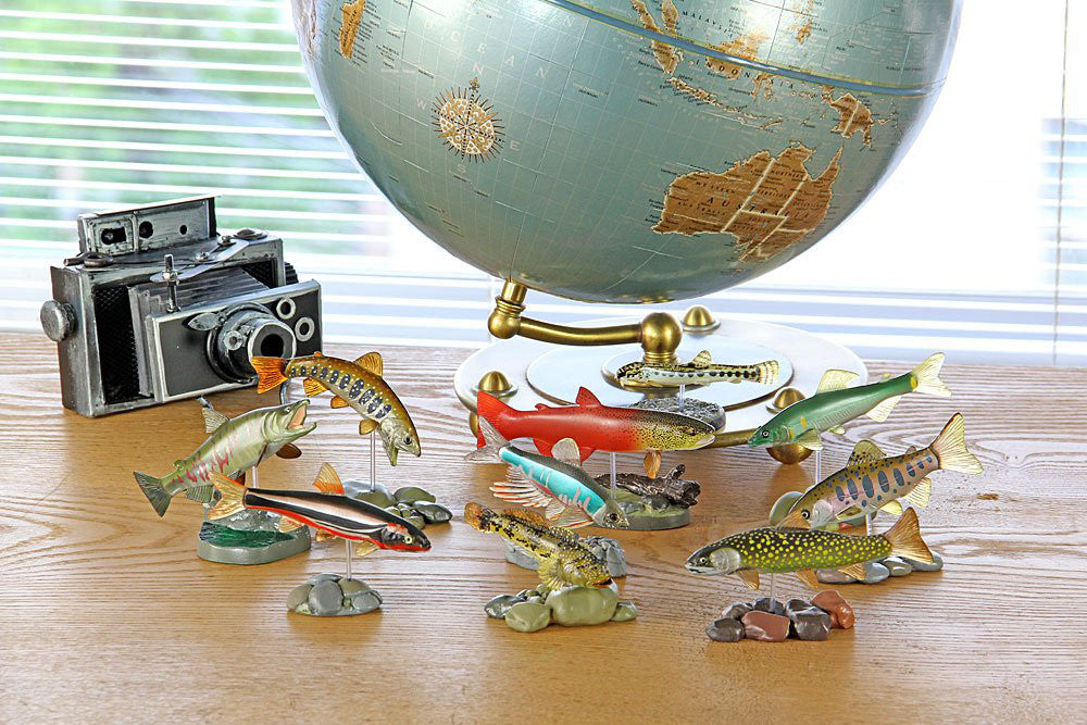 Freshwater Fish 10pcs Real Figure Box Colorata Japan